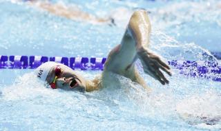 游泳锦标赛 游泳锦标赛