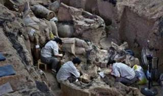 三星堆重大考古发现 三星堆重大考古发现