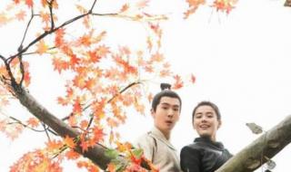 王楚然个人资料 王楚然个人资料