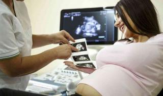 双顶径和股骨长标准