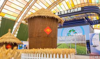 中国农民丰收节