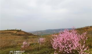 西安周边自驾一日游