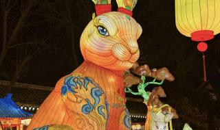 元宵图片真实照片