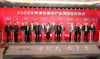 直通车代理 直通车代理