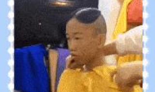 神龙归位什么意思