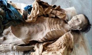 世界上最诡异的兔子 世界上最诡异的兔子