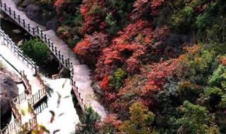 十堰旅游景点大全 十堰旅游景点大全