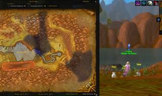 wow战斗宠物训练师 wow战斗宠物训练师