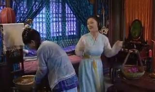 陈法蓉主演的电视剧