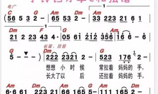 送给妈妈的茉莉花 送给妈妈的茉莉花