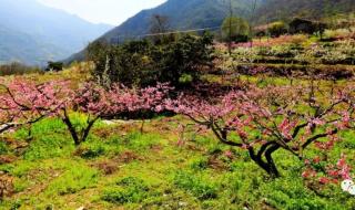 一家人食品 一家人食品