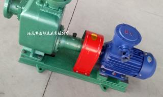 自吸式油泵 自吸式油泵