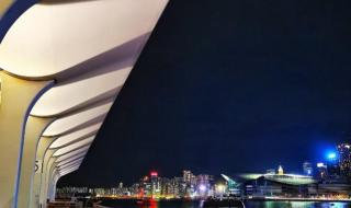 维多利亚港夜景 维多利亚港夜景