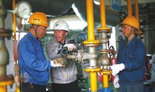 万年青水泥 万年青水泥