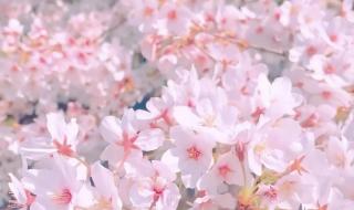 超好看的微信背景图片 超好看的微信背景图片