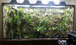 怎么弄空间 怎么弄空间