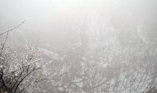 十里桃花霞满天 十里桃花霞满天