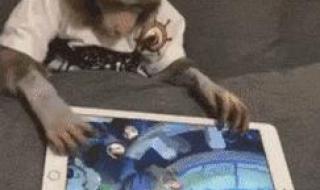 老丈人看女婿越看越气 老丈人看女婿越看越气