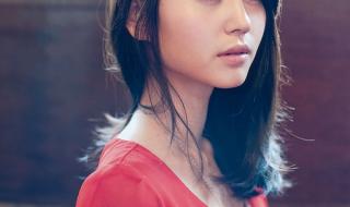 堀北真希电视剧