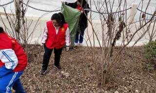 五六音乐下午茶 五六音乐下午茶