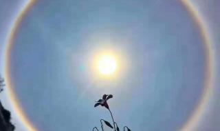 日晕出现有什么预兆