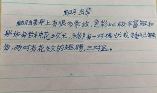 蝴蝶一来他们仿写句子 蝴蝶一来他们仿写句子