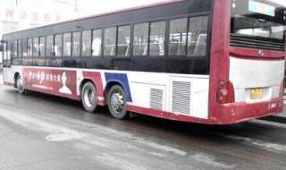 国内国际宠物托运公司 国内国际宠物托运公司