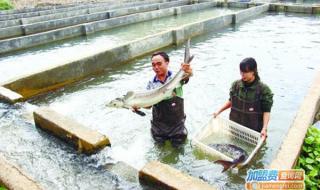 养殖技术顾问杂志 养殖技术顾问杂志