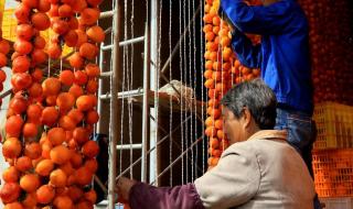 柿饼的制作方法过程