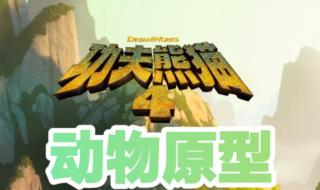 功夫熊猫原型是姑娘