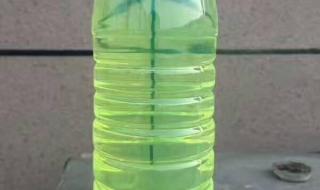 山东地炼成品油价格