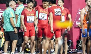 苏炳添世界排名消失 苏炳添世界排名消失