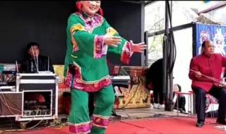 河南坠子李豁子离婚 河南坠子李豁子离婚