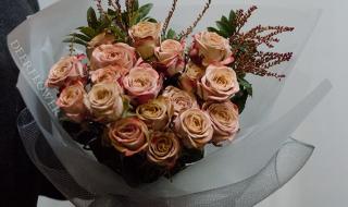 cappuccino cappuccino