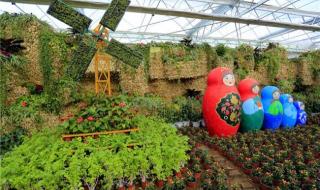 英雄联盟会员礼包 英雄联盟会员礼包