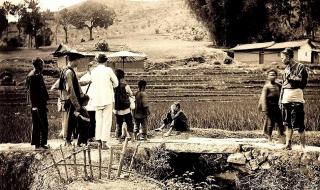 五条人被复活 五条人被复活