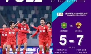 冰岛进2022世界杯了吗